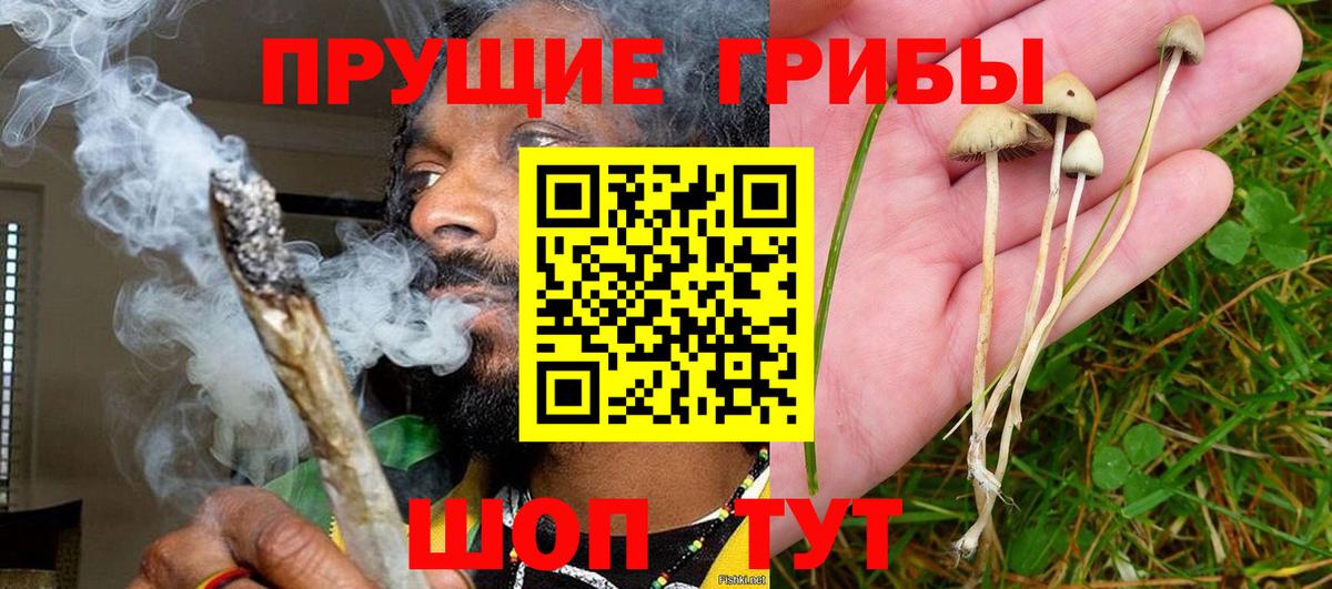 Псилоцибиновые грибы Psilocybe Дюртюли